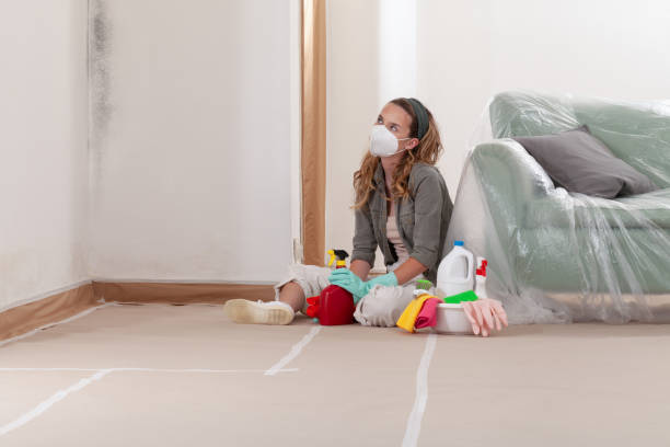 Reliable Mold Remediation contractor in Hurst, TX by WQB Mold Removal